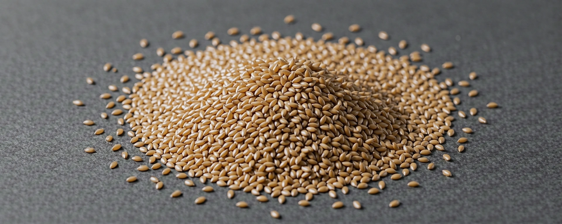 Texture abstraite nutrition